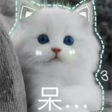阿七，七七