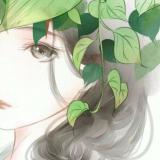 东京巷尾の樱花づ