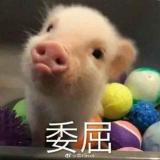 A人间冷暖