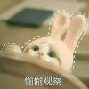 ✎﹏﹏  桃夭  °