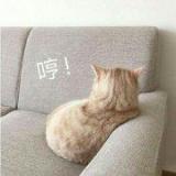 长岸不问