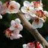 一如初见西窗晓