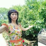 AA高高