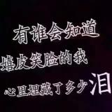 书友15580
