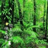 猫漫音_881