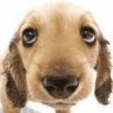 A.老太太过马路我都不扶，就服你！