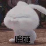 书友58431