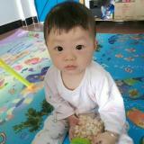 书友12462