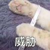 形想行时亦复如是