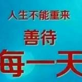 书友48491