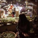 简1995生