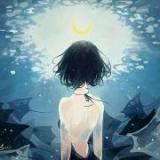 可爱的夜里的星星莎