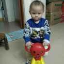 小李子
