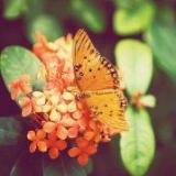 温暖似兰天2028020692