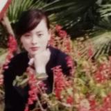 花菲花