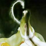 宝宝
