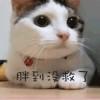 linzihang