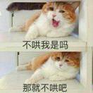 书友13270