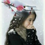 暮雪wang