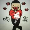 书友17204