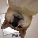 杀死绝伦