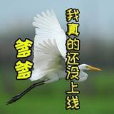 霖