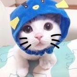 豆友189230211