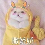 nima不是尼玛