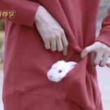记得绿罗裙