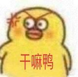 资源代理