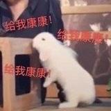 不喝可乐喝牛奶