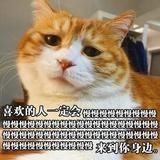 想喝奶茶