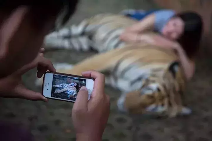 讓人類羞恥的30張圖