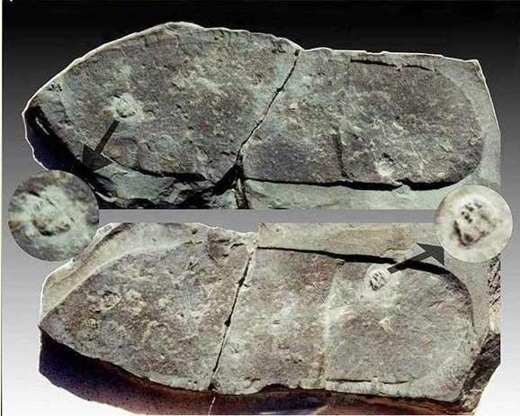 地球上曾活过几代人类的证据