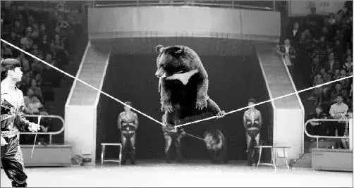 讓人類羞恥的30張圖