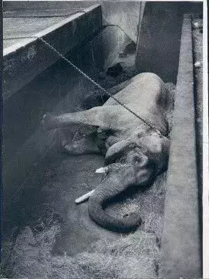 讓人類羞恥的30張圖