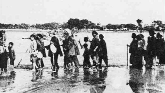 花园口决堤前, 向蒋介石提以水代兵方案的相关人员都是谁?