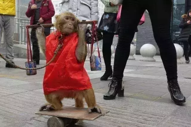 讓人類羞恥的30張圖