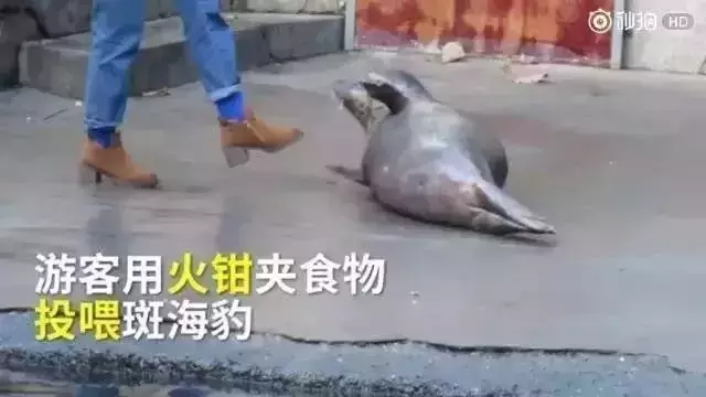 讓人類羞恥的30張圖