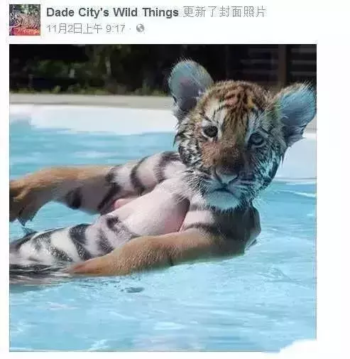 讓人類羞恥的30張圖