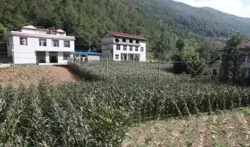 这栋房子一屋跨两省 住户吃在湖北睡在重庆