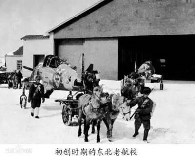 張學良所轄東北空軍興亡史