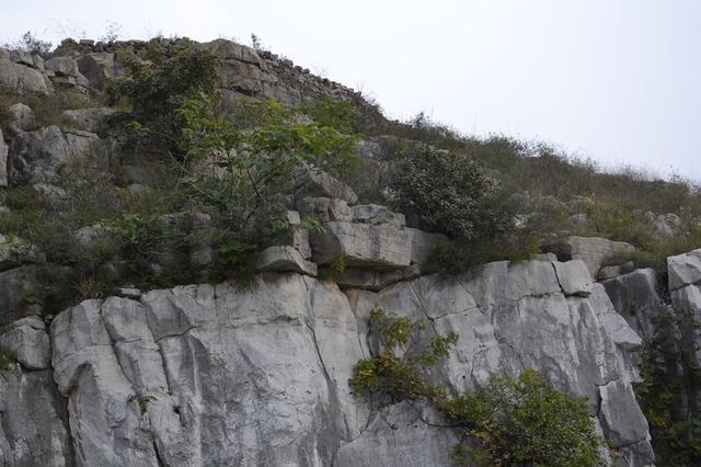 山东省历史上最大地震, 比唐山地震大11倍, 山崩河裂一州荡平