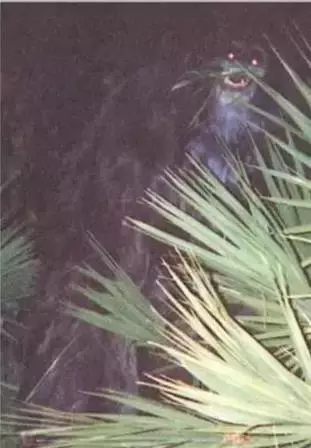 地球上20张你没见过的照片, 每张都很珍贵