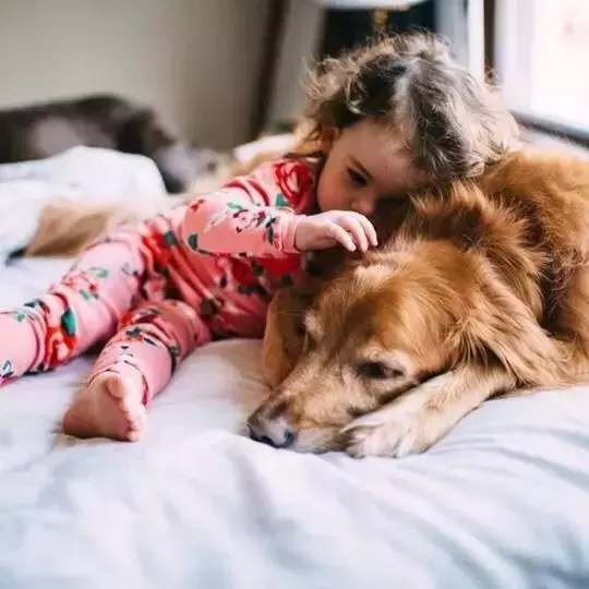 这位妈妈只做了3步, 竟让孩子每晚主动早睡觉, 值得效仿