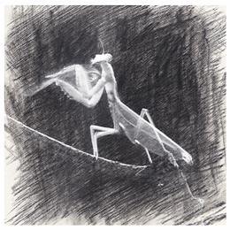 中国历史中流传下来的那些“武功”, 谁说这些都是假的