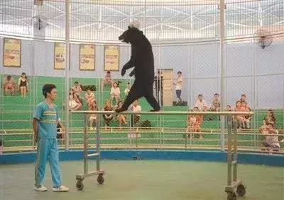 讓人類羞恥的30張圖