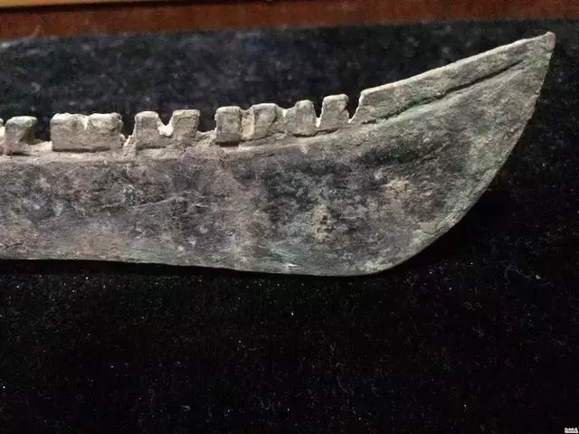 从古至今, 大刀背上的锯齿是干什么用的?