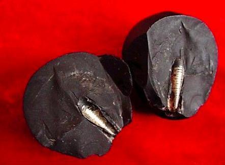 地球上曾活过几代人类的证据