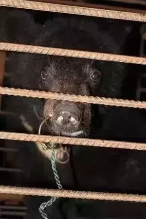 讓人類羞恥的30張圖